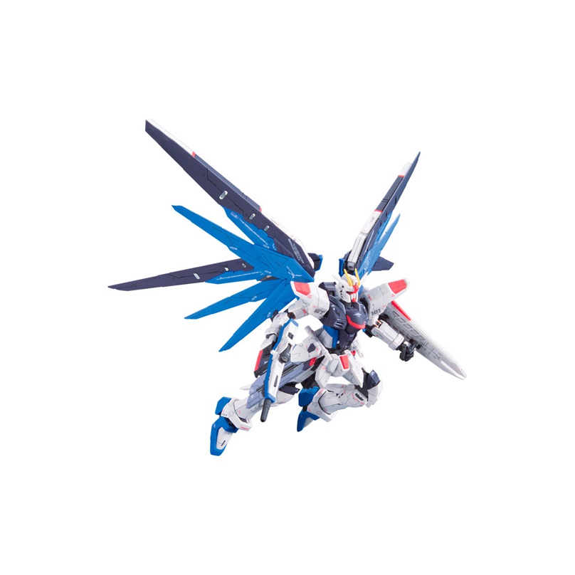 BANDAI Mobile Suit Gundam SEED - Bandai Model Gundam Rg 评论和价格